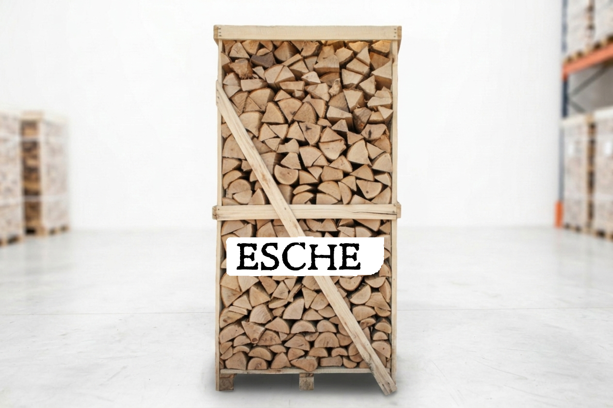 Brennholz Palette – Esche – 25 cm – kammergetrocknet – 1,8 RM