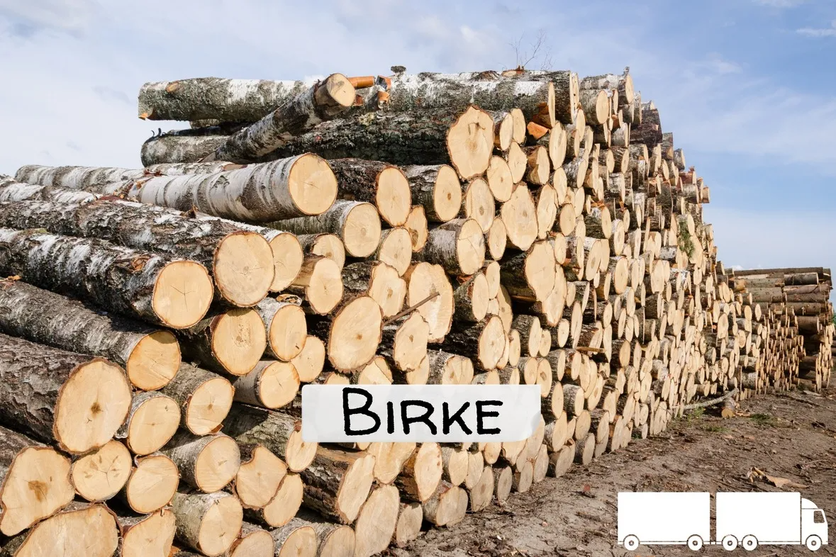 Stammholz Birke – LKW-Ladung flexibel (20 RM oder 40 RM)