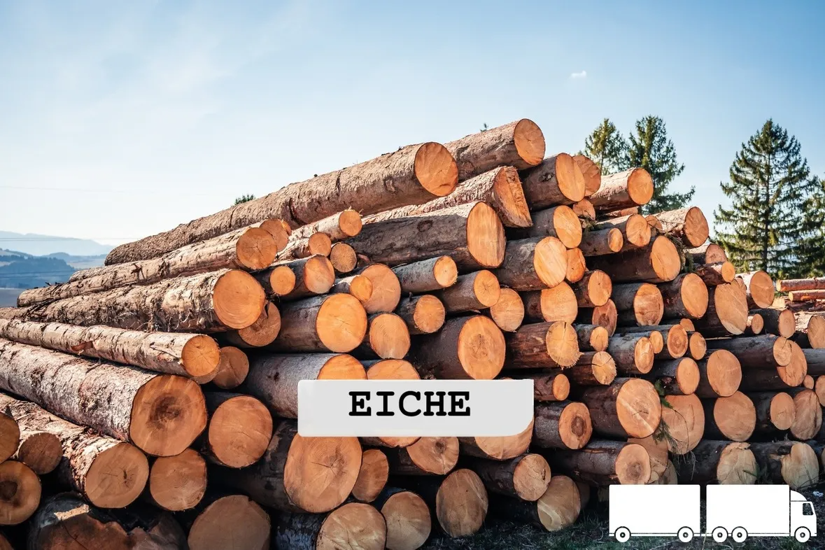 Stammholz Eiche – LKW-Ladung flexibel (20 RM oder 40 RM)