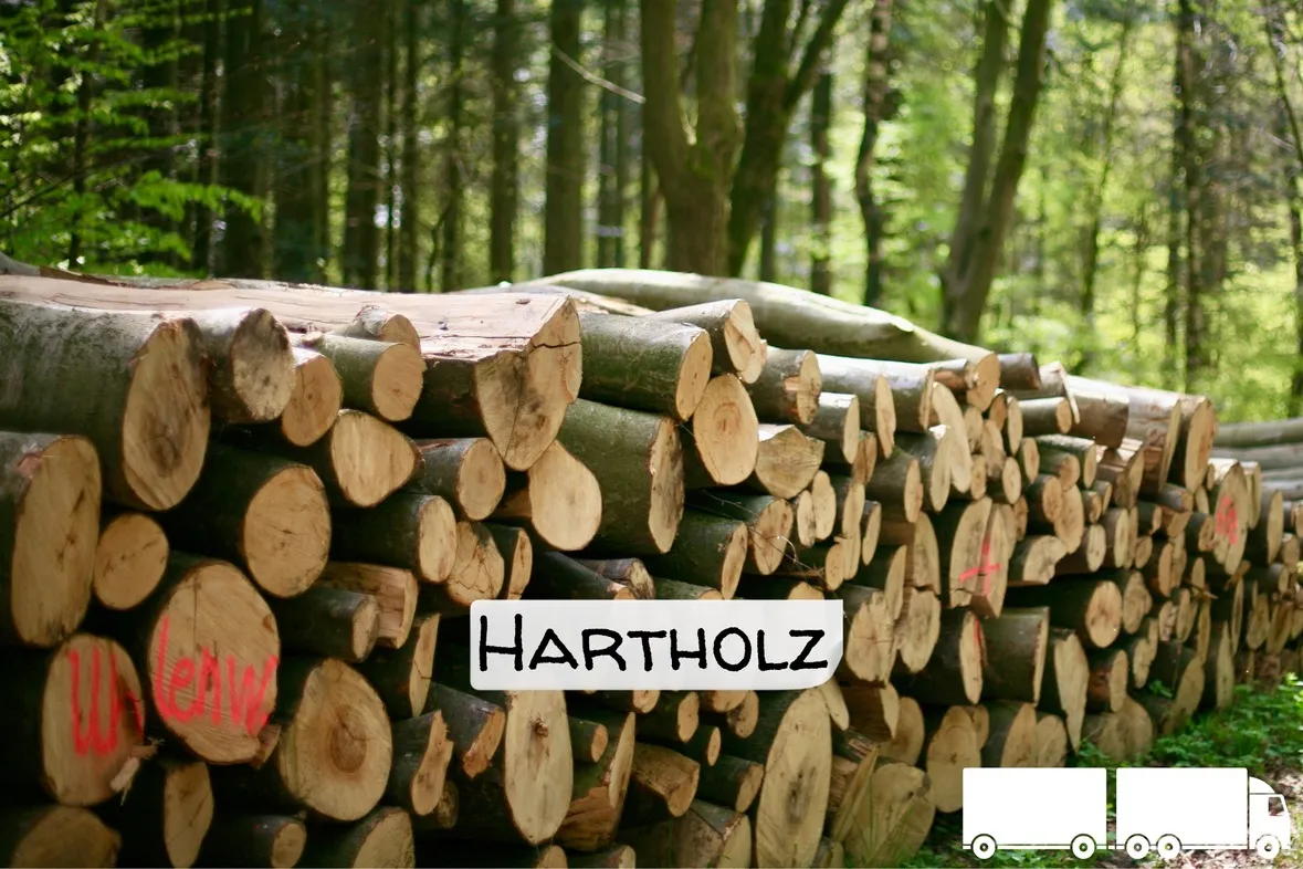 Stammholz Hartholz / Laubholz – LKW-Ladung (20 – 40 RM)